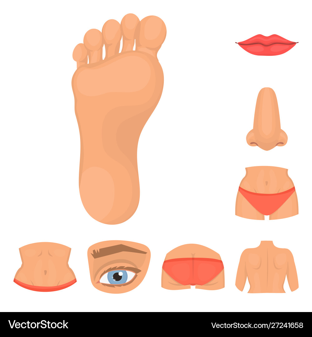 Design body and part symbol set Design body and part symbol set vector image