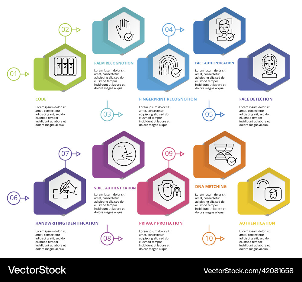 Infographic authentication template icons Infographic authentication template icons Vector Image