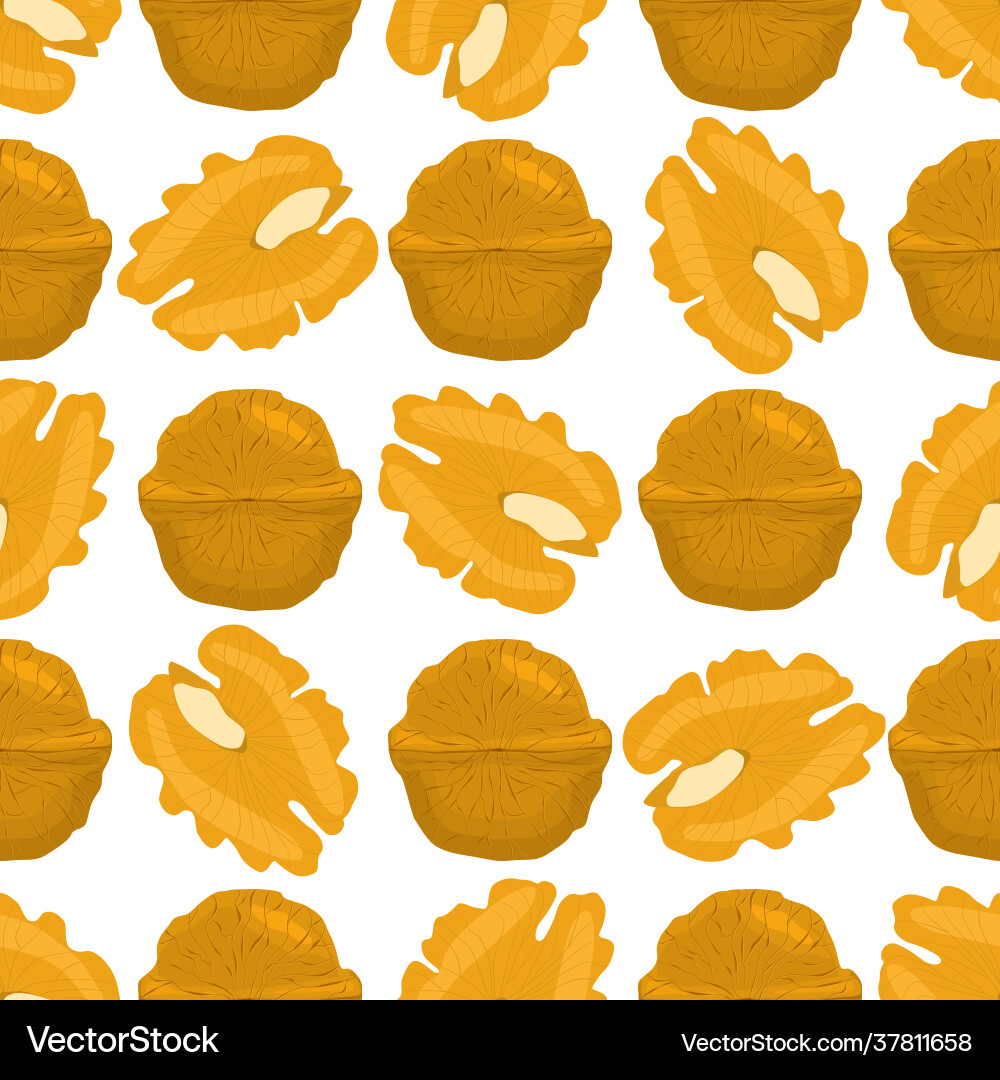 On theme big pattern identical types walnut On theme big pattern identical types walnut vector image
