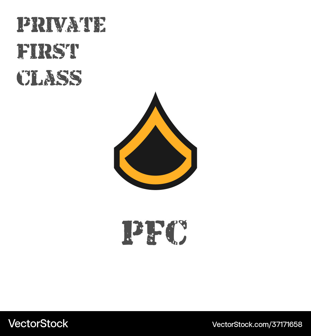 Realistic icon a private first class Vector Image