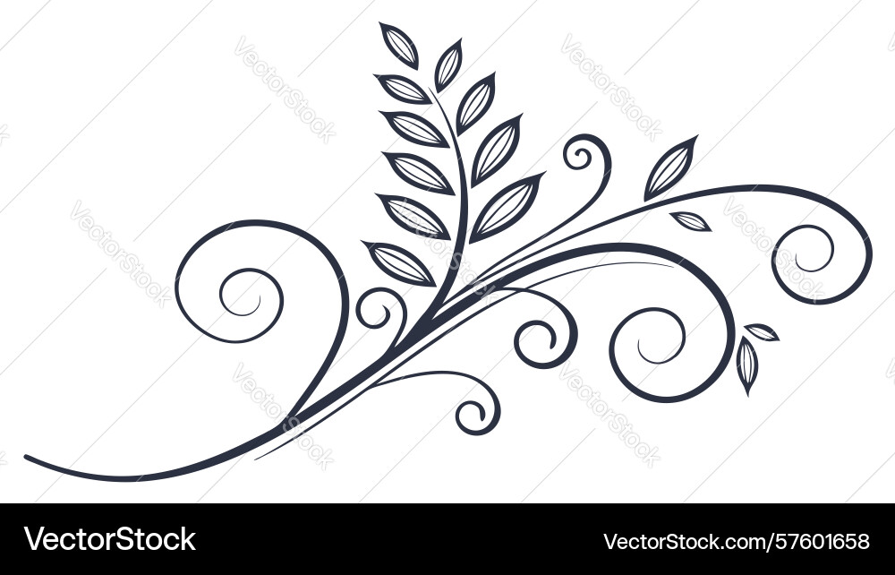 Simple botanical scroll versatile design accent vector image