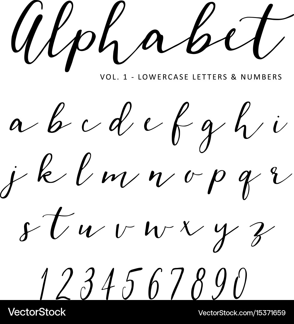 Elegant Hand Lettered Script Font vector image