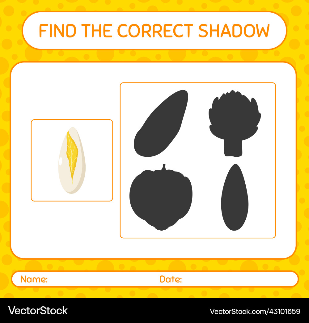 Find the correct shadows game with witloof Find the correct shadows game with witloof vector image