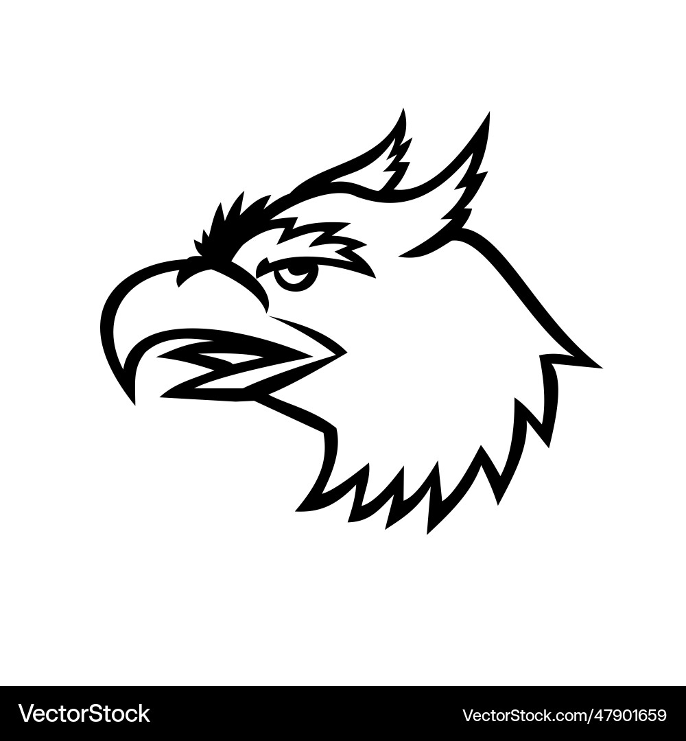 Head of roc legendary bird mascot Vector Image