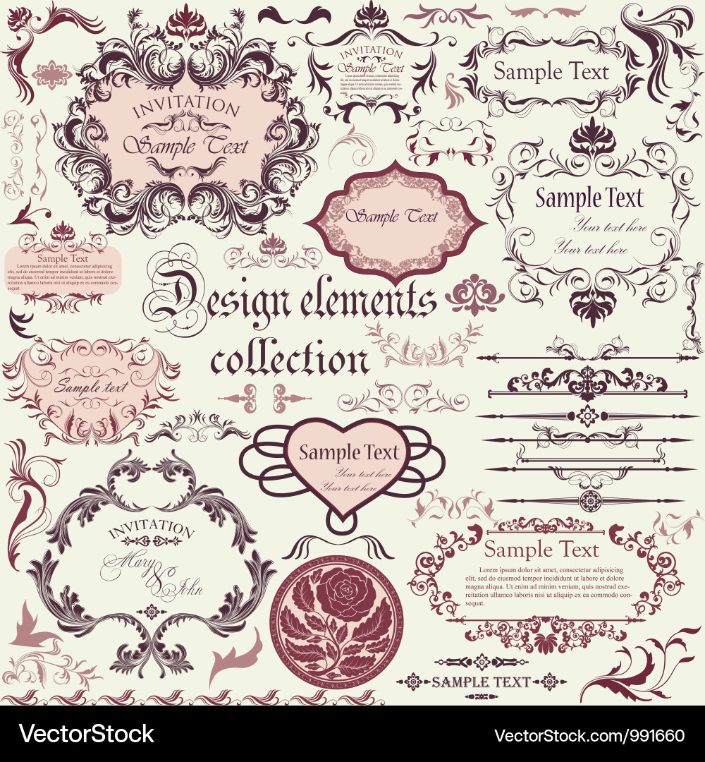 Floral & Calligraphic Ornament Set vector image