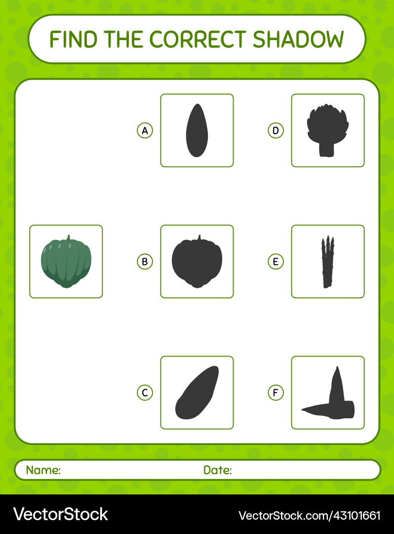 Find the correct shadows game with acorn squash Find the correct shadows game with acorn squash vector image