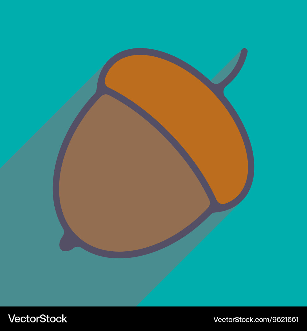 Flat with shadow icon and mobile application acorn vector image