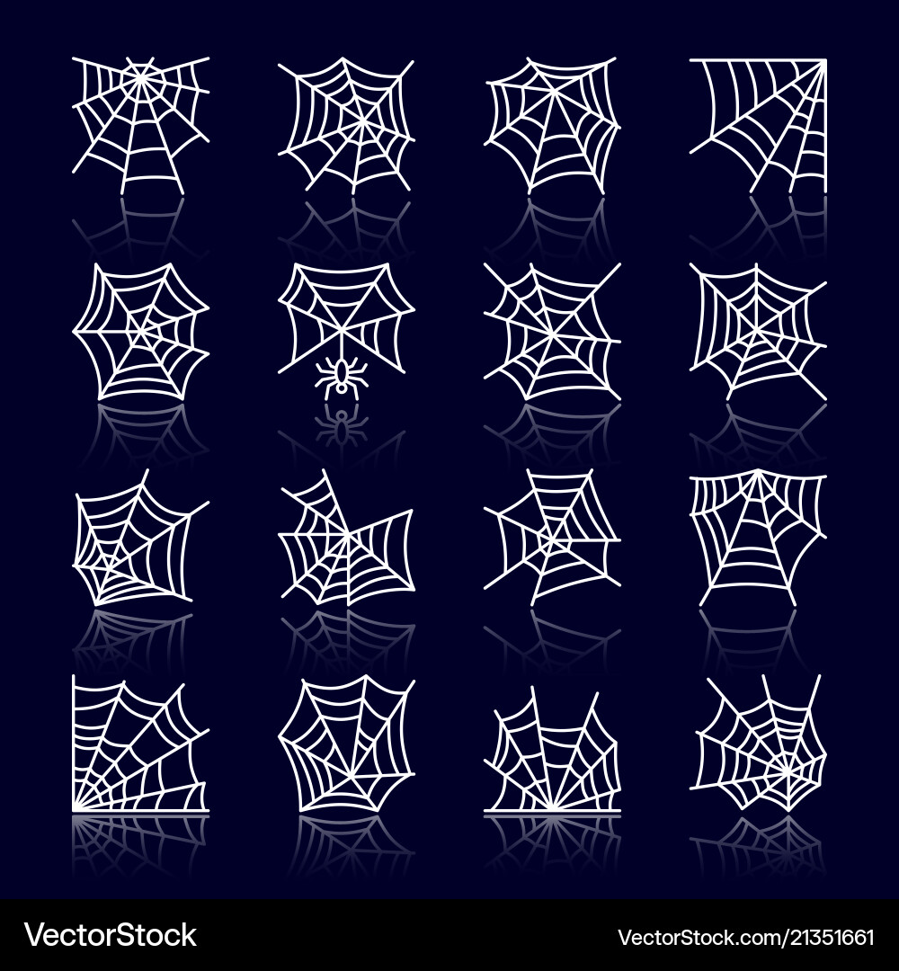Spider web white line with reflection icon set Spider web white line with reflection icon set vector image