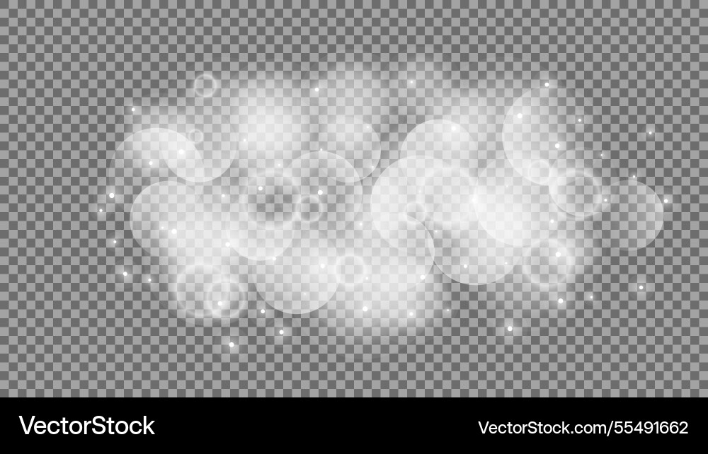 Bokeh circles on transparent background Bokeh circles on transparent background vector image