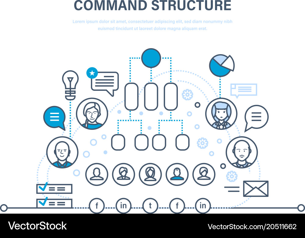 Command structure business hierarchy teamwork vector image
