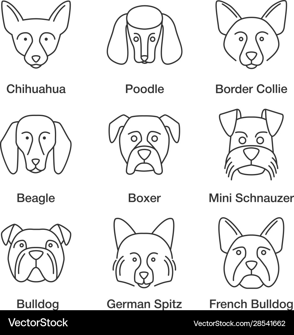 Dogs breeds linear icons set