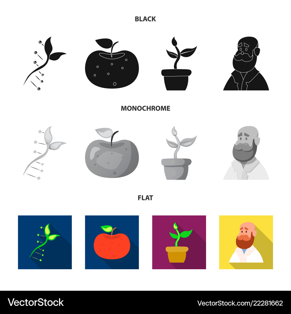 Isolated object of and icon set s Isolated object of and icon set s Vector Image