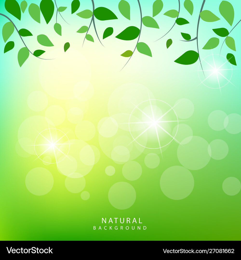 Natural green background design – Royalty-Free Vector | VectorStock, image size:1000x1080