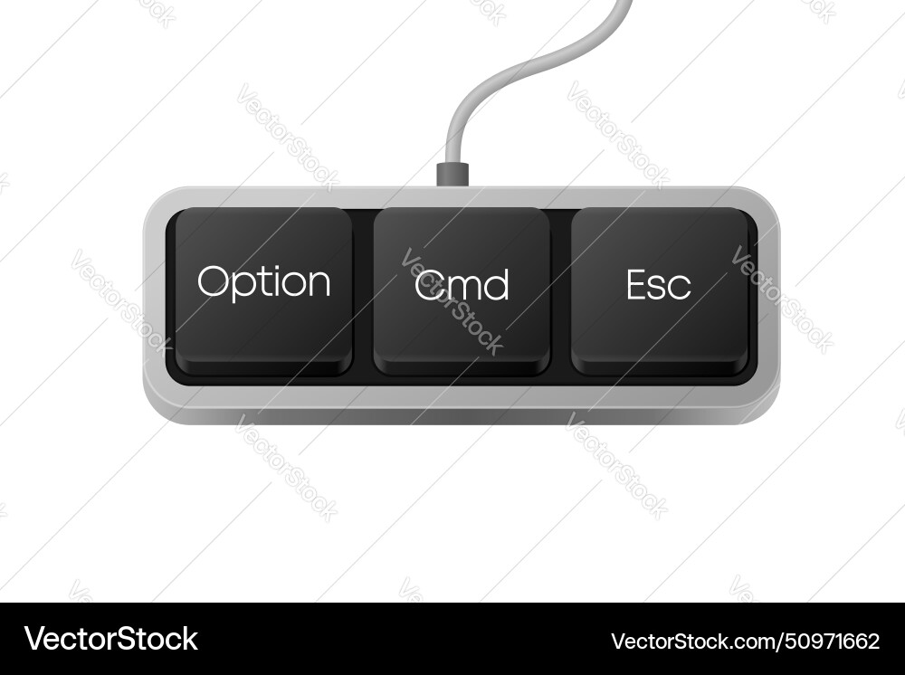 Option cmd esc button combination computer Option cmd esc button combination computer vector image