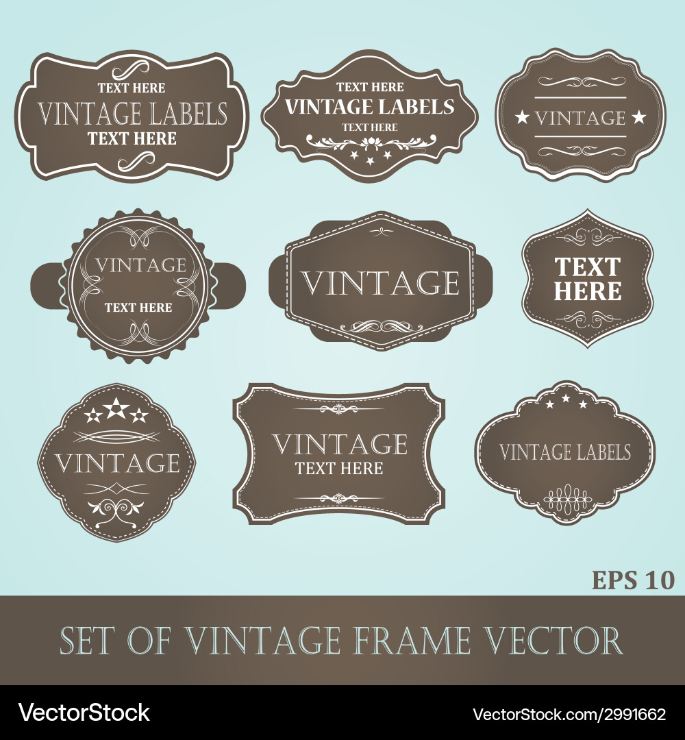 Vintage Frame Labels vector image