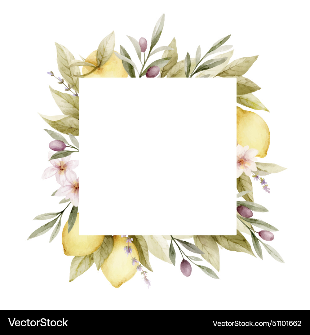 Watercolor frame with lemons olives vector image