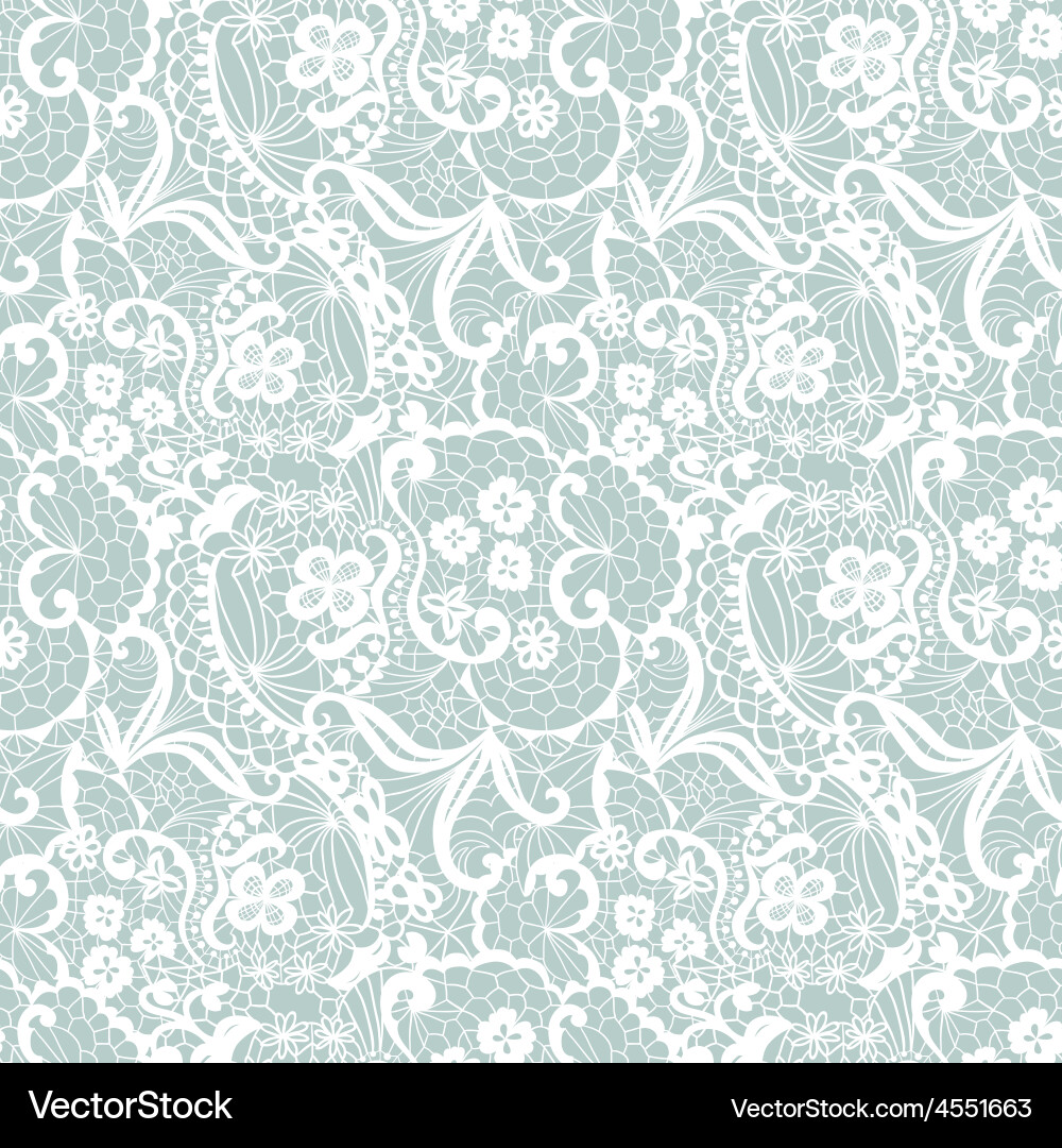 Delicate Floral Lace Pattern Royalty Free Vector Image