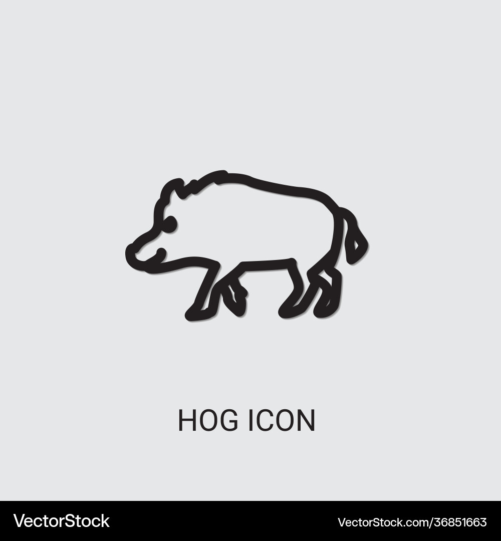 Hog icon vector image