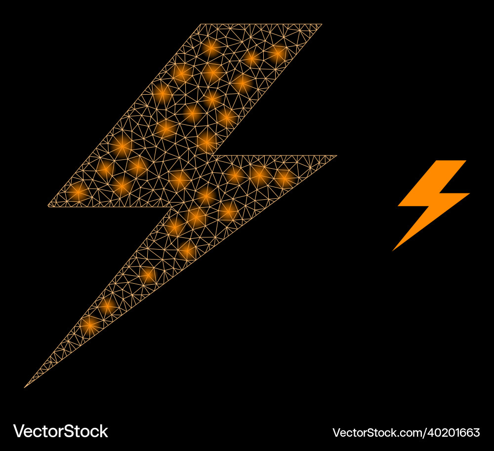 Mesh web flash with magic carcass dots Mesh web flash with magic carcass dots vector image