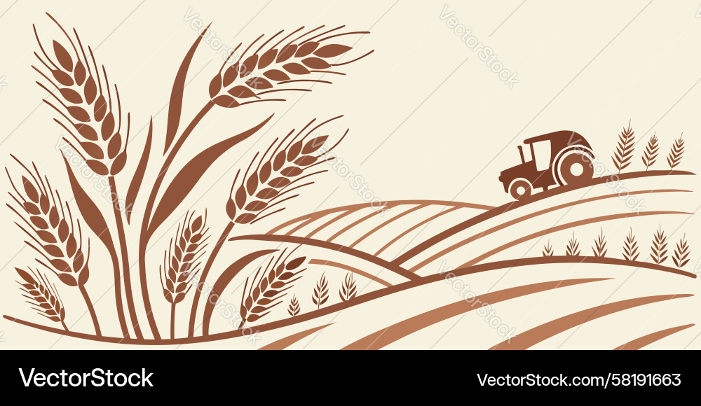 Rustic Wheat Fields with Tractor Vector Image