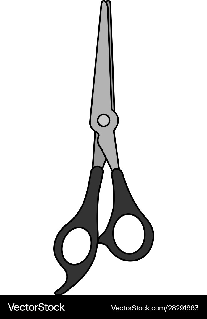 Scissors color Scissors color vector image