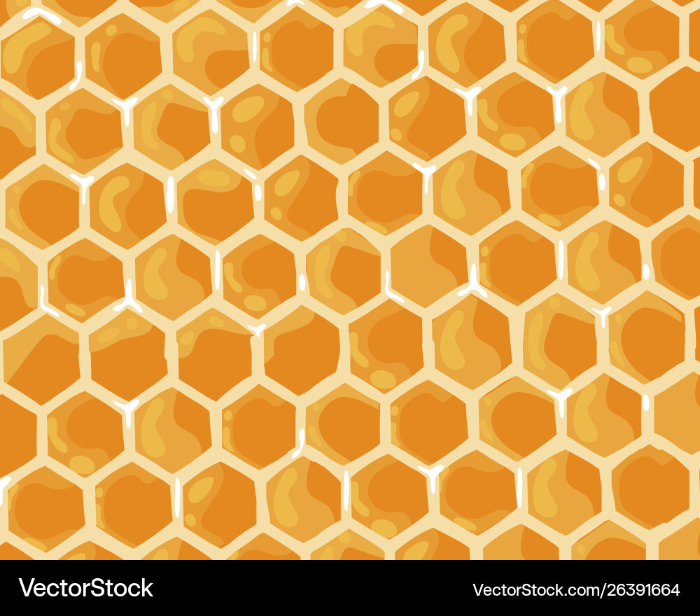 Cute honey sweet background honeycomb banner Cute honey sweet background honeycomb banner vector image