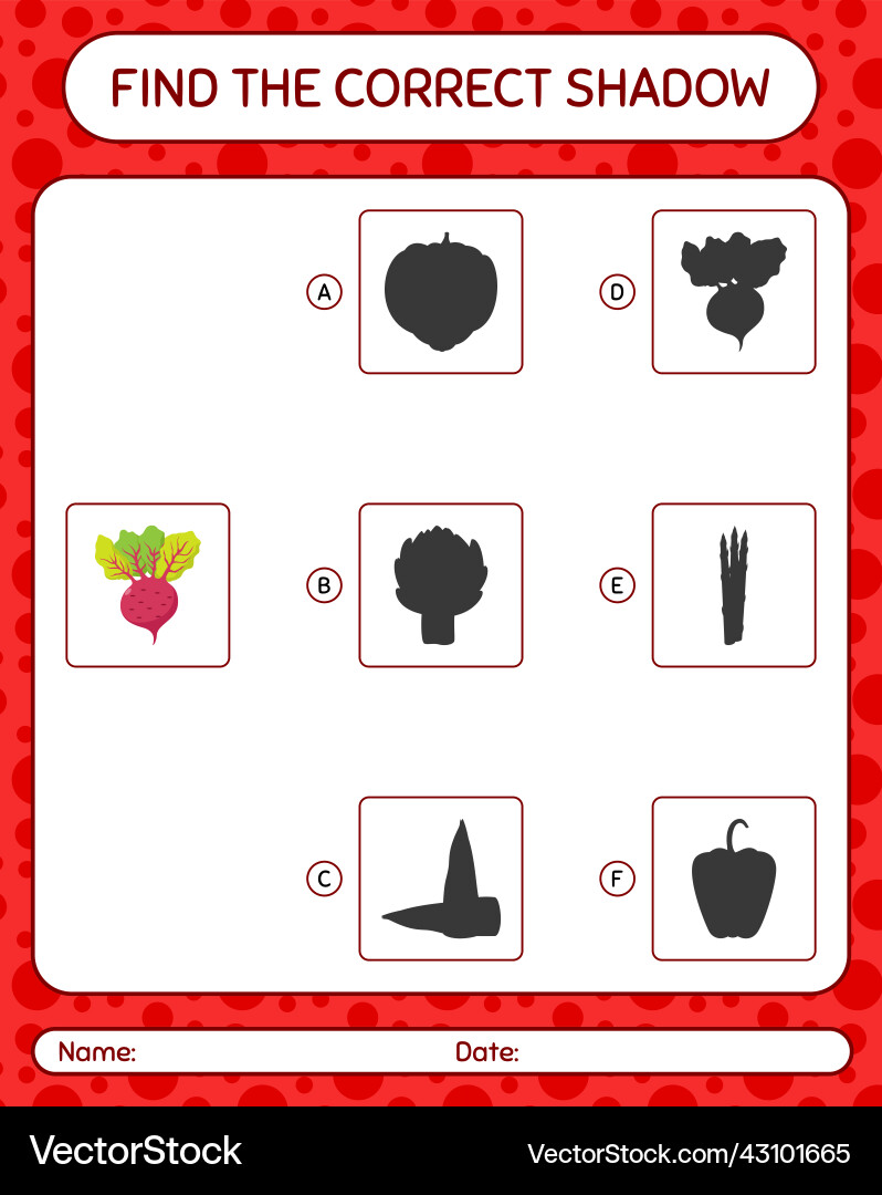 Find the correct shadows game with beet root Find the correct shadows game with beet root Vector Image