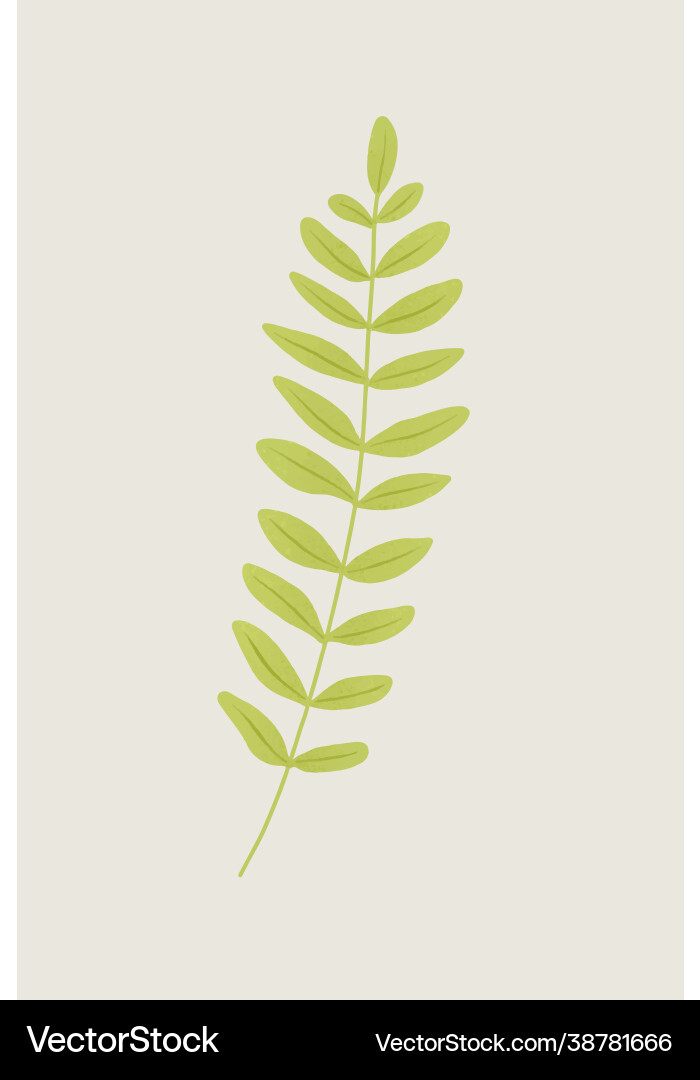 Fern branch design element Vector Image