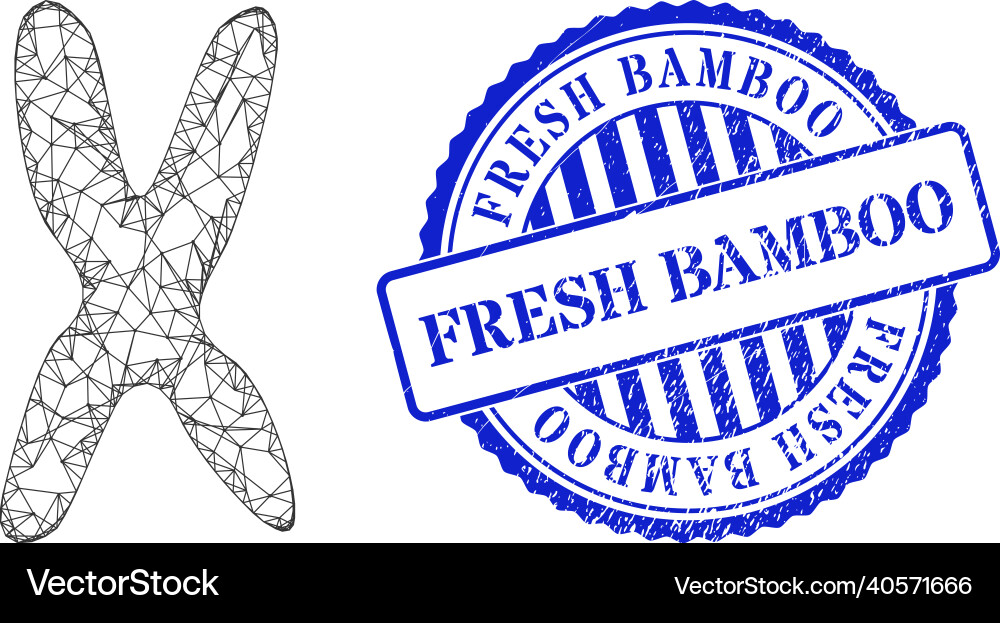 Textured fresh bamboo badge and net chromosome web Textured fresh bamboo badge and net chromosome web vector image