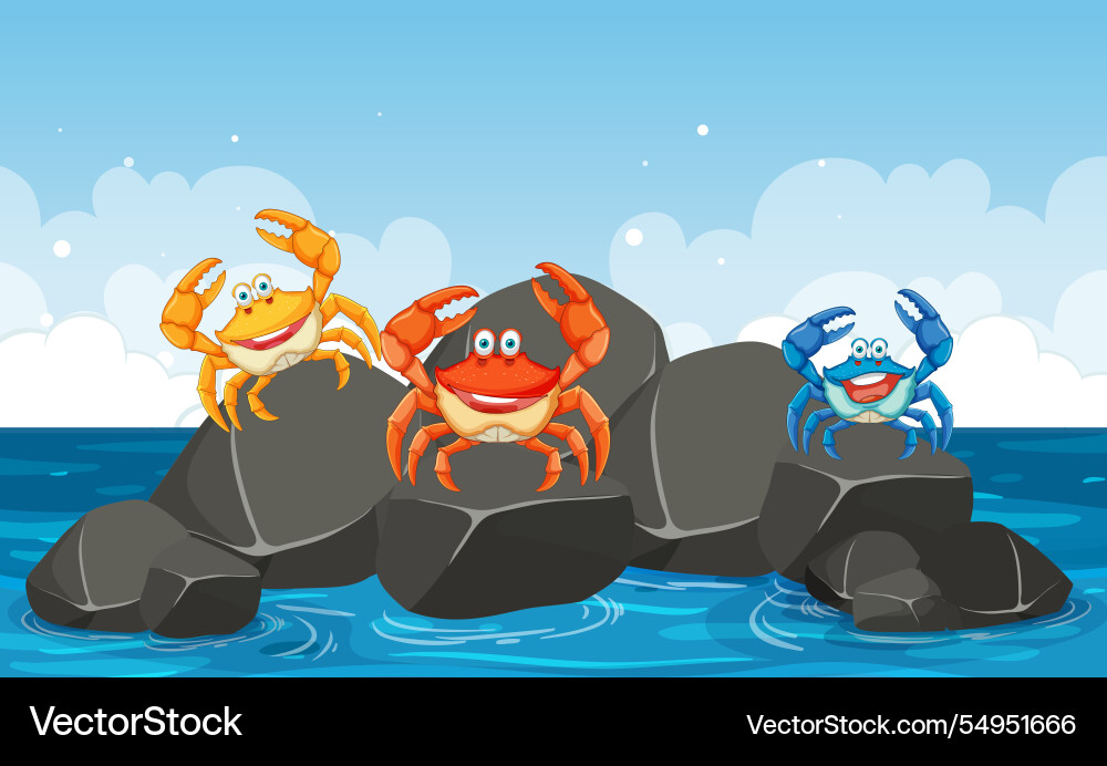 Three cheerful crabs on rocks by the sea Vector Image