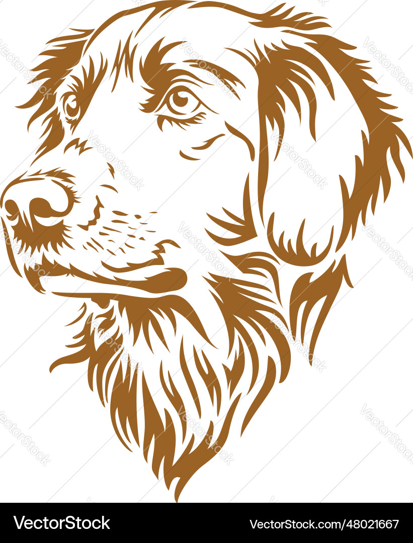 Golden retriever dog face printable stencil Vector Image
