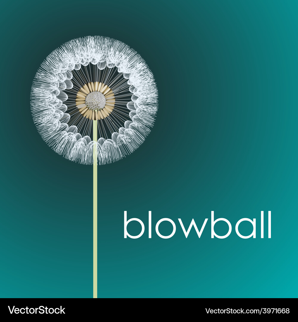 Blowball Vector Image