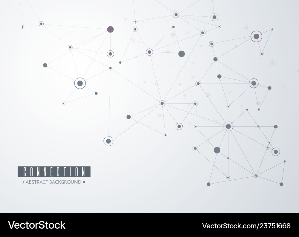 Connected Network Lines and Dots vector image