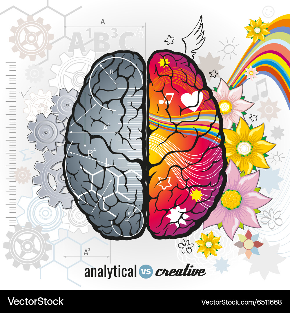 Left & Right Brain Function Vector Image