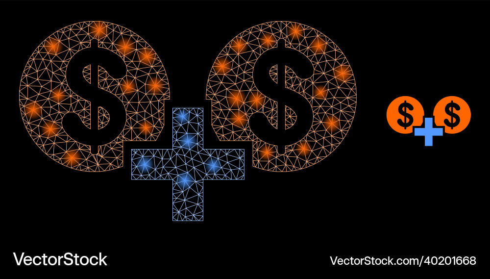 Mesh net financial sum with shiny Mesh net financial sum with shiny vector image