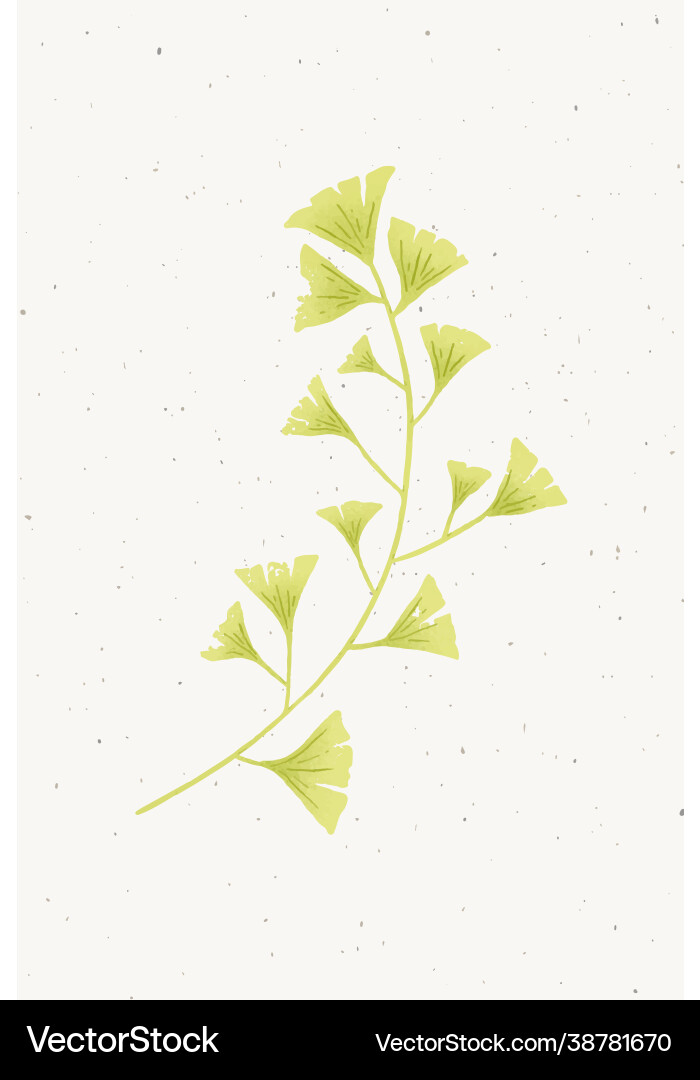 Ginkgo branch design element vector image