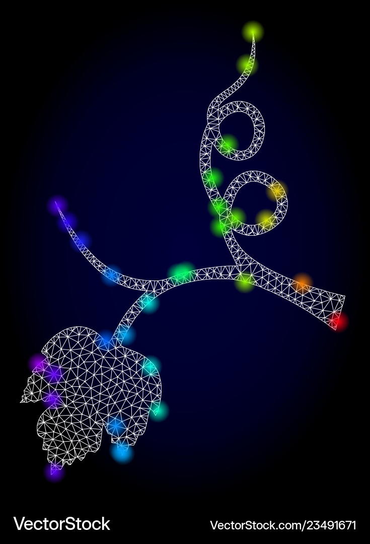 Network mesh grape sprout with spectrum vector image
