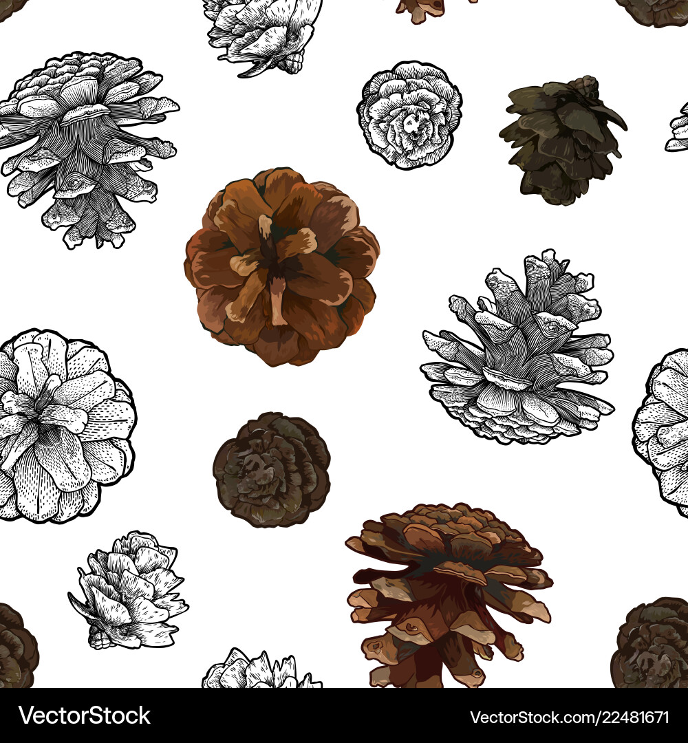 Pine Cone Seamless Pattern vector image