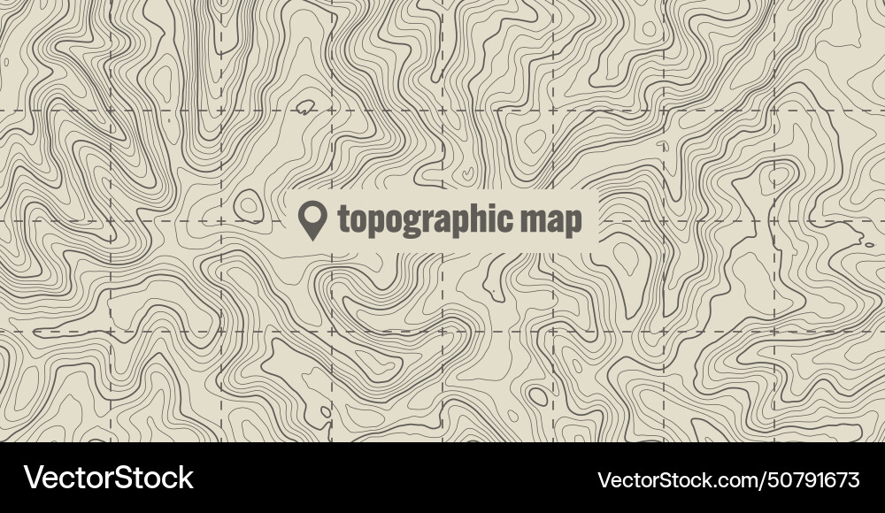Topographic map with contour lines geographic Vector Image