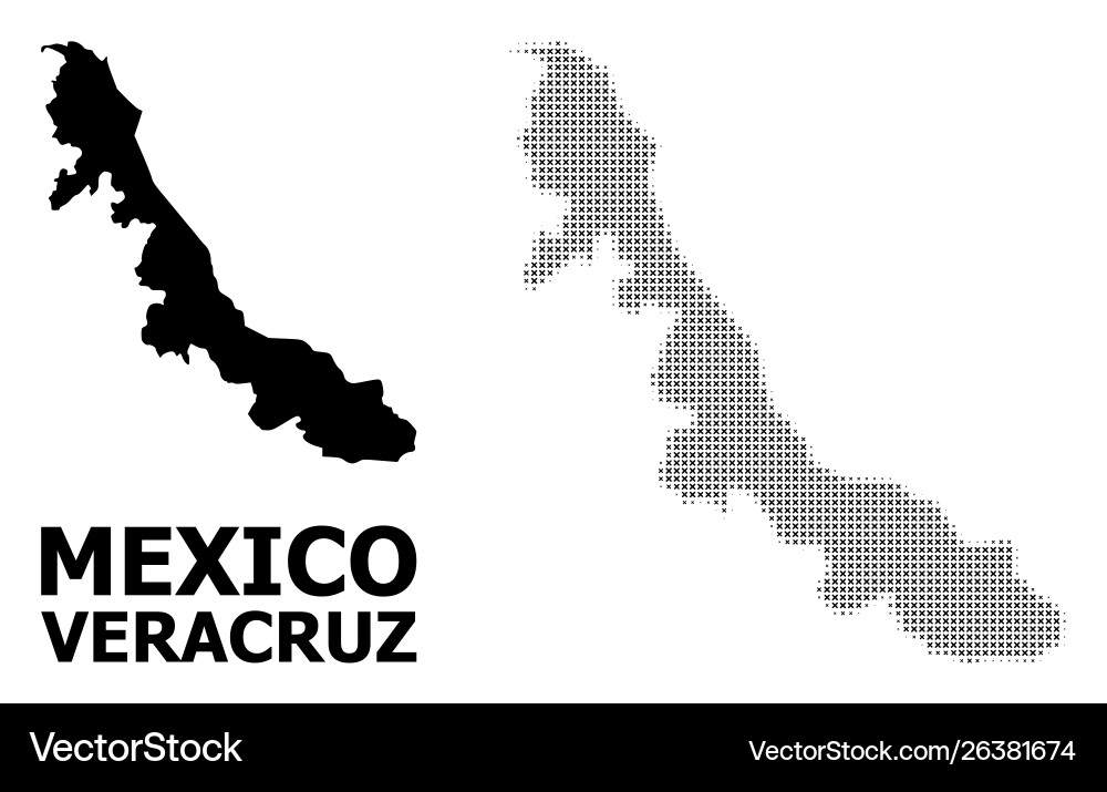 Halftone pattern and solid map veracruz Vector Image