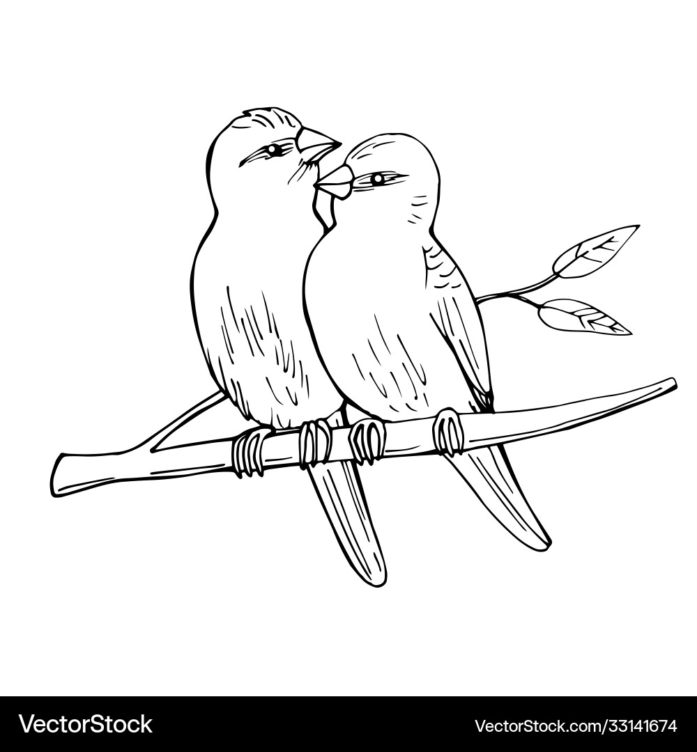 Two birds sitting on a branch sketch vector image