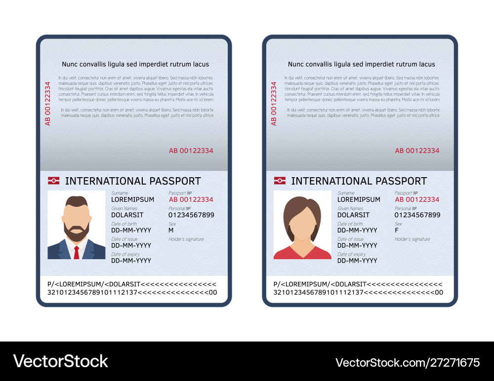 Open international passports id blank male Open international passports id blank male vector image