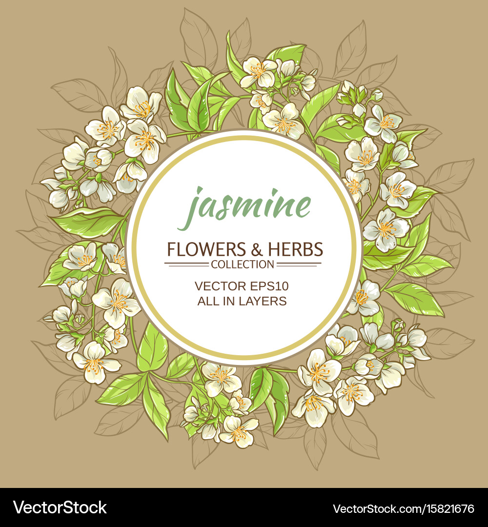 Jasmine Floral Frame Vector Image