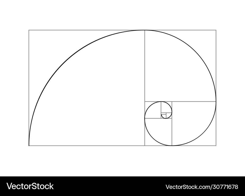 Golden Ratio Spiral - Fibonacci Sequence vector image