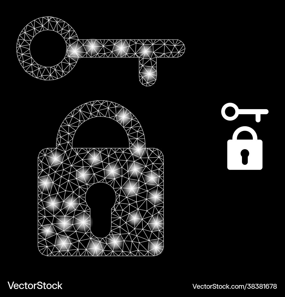 Polygonal network mesh lock key with magic vector image