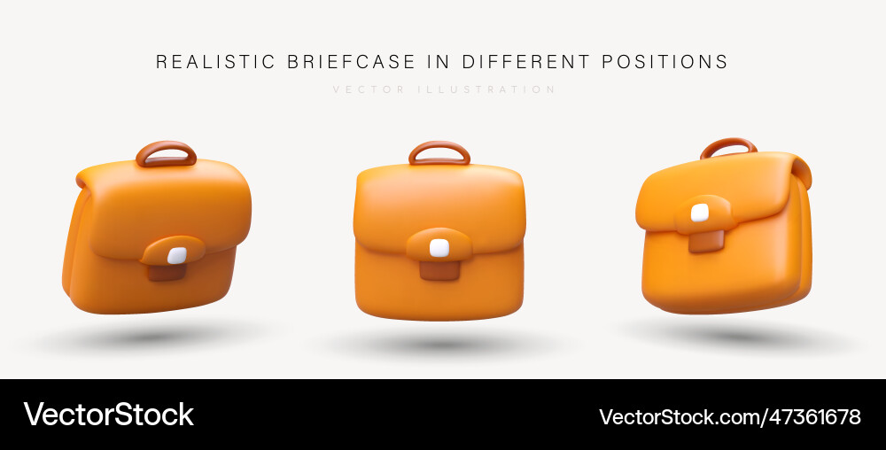 Set of realistic briefcases with handle and clasp Set of realistic briefcases with handle and clasp vector image