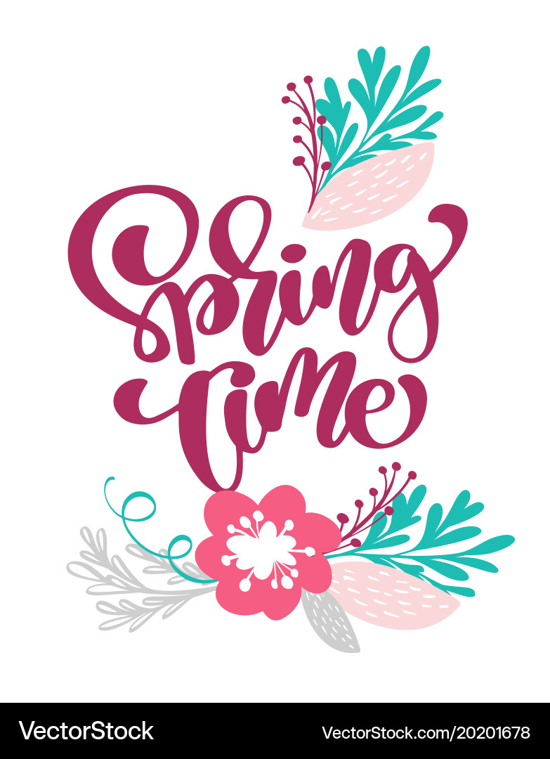 Spring time hand drawn text and design Vector Image