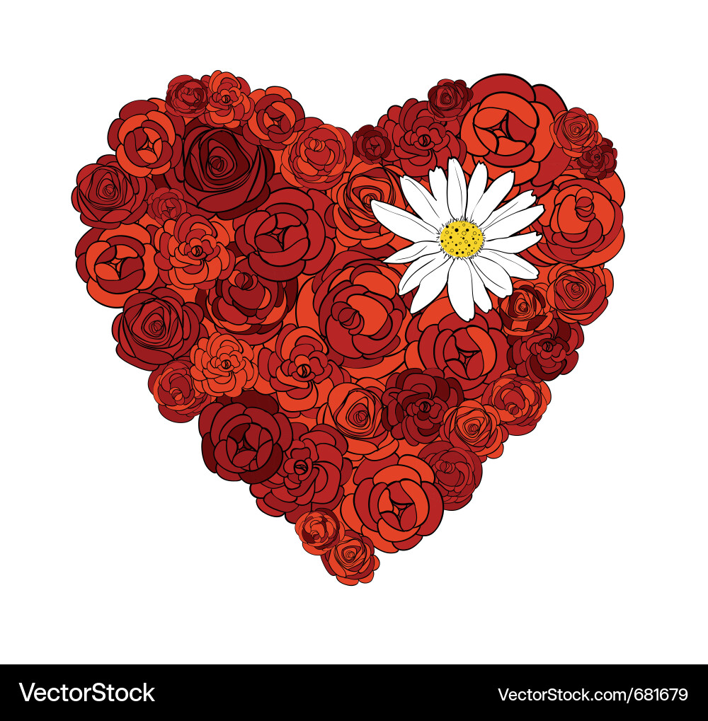 Romantic Heart Rose Illustration Vector Image