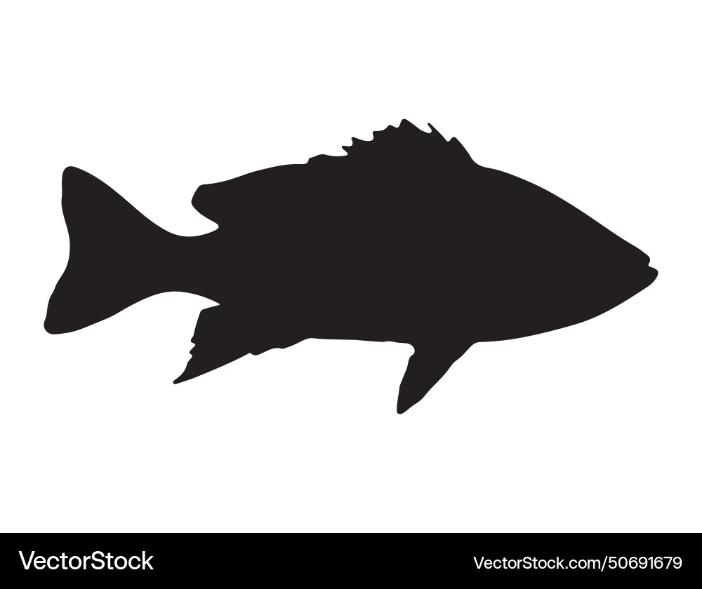 Snapper fish silhouette art Snapper fish silhouette art vector image