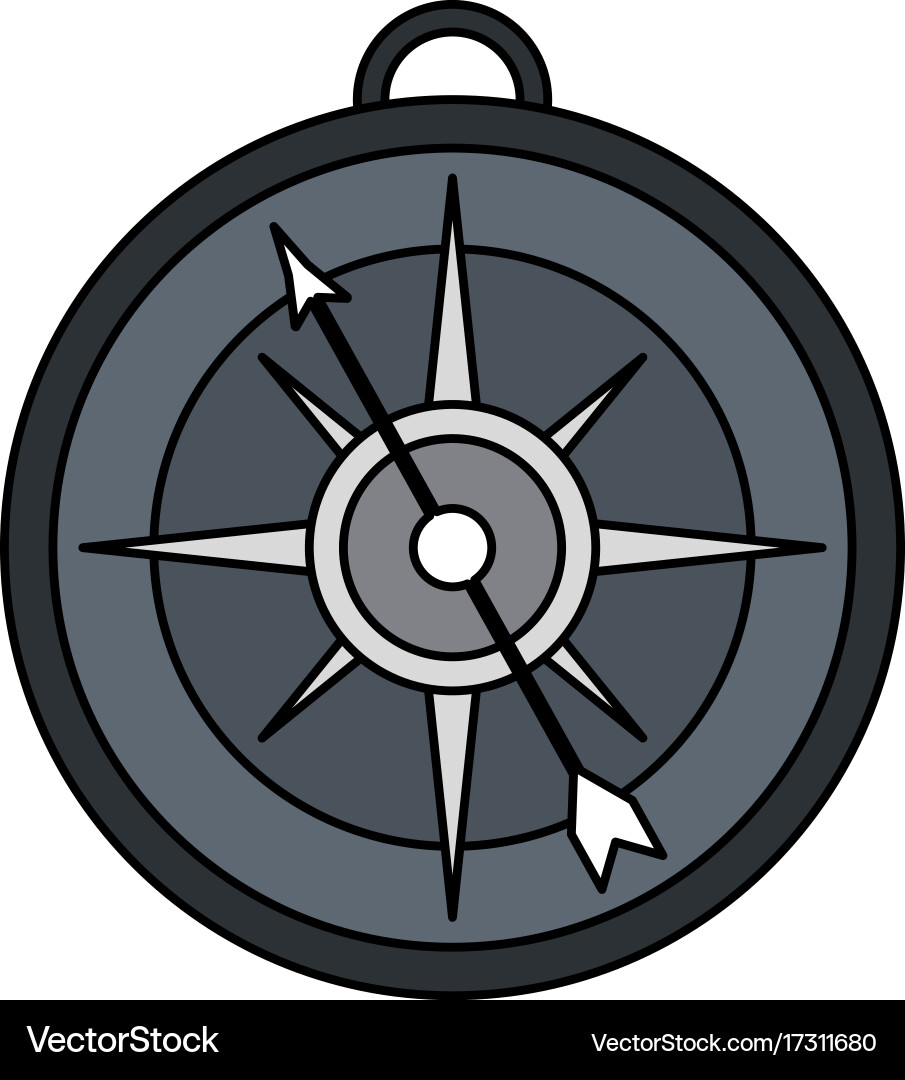 Compass navigation icon image Vector Image